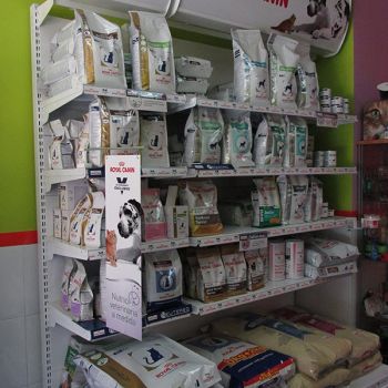 Consulta veterinaria en Talavera de la Reina Consulta veterinaria en Talavera de la Reina