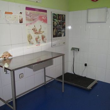 Consulta veterinaria en Talavera de la Reina Consulta veterinaria en Talavera de la Reina
