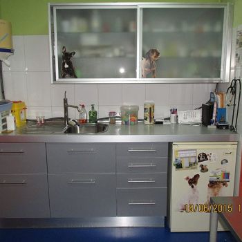 Consulta veterinaria en Talavera de la Reina Consulta veterinaria en Talavera de la Reina